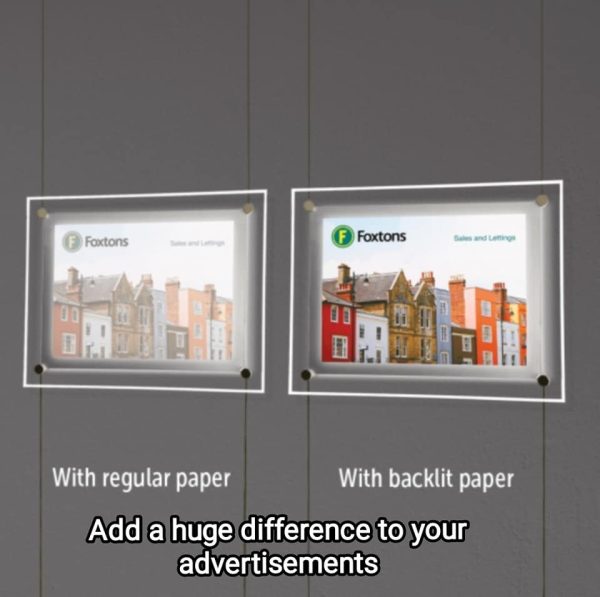 Premium Backlit Paper Pack