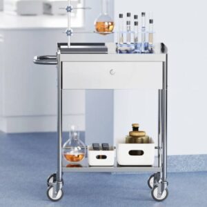 Medical Cart, 2 Layers Stainless Steel Cart 99.8 kg Weight Capacity, Lab Utility Cart with 360° Silent Wheels and a Drawer.